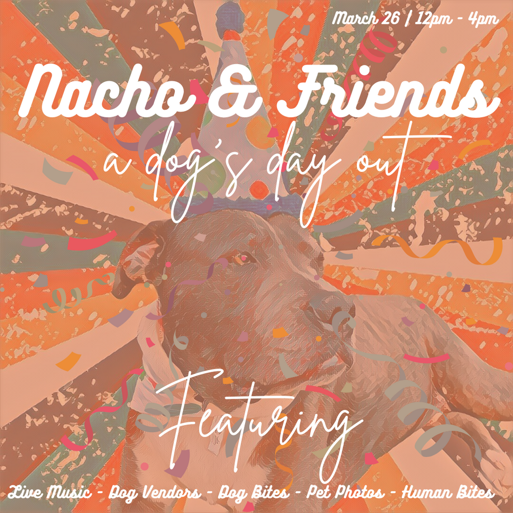 Nacho & Friends | a dog's day out